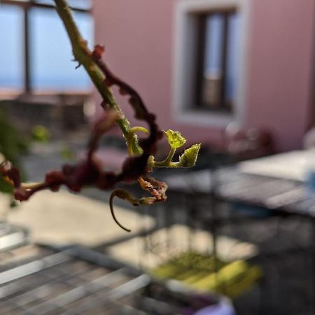 Bed and Breakfast Horizon Pantelleria Campobello Exteriér fotografie