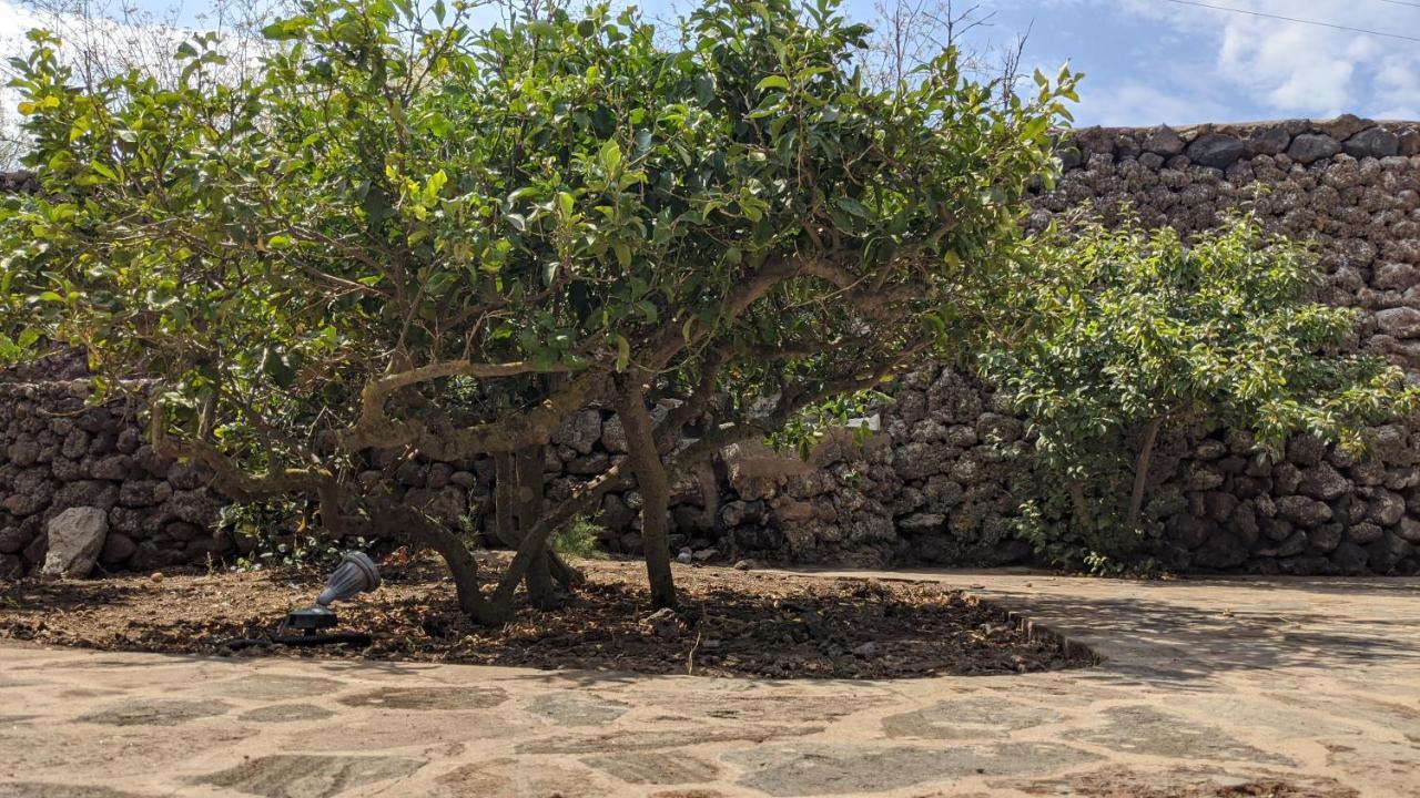 Bed and Breakfast Horizon Pantelleria Campobello Exteriér fotografie