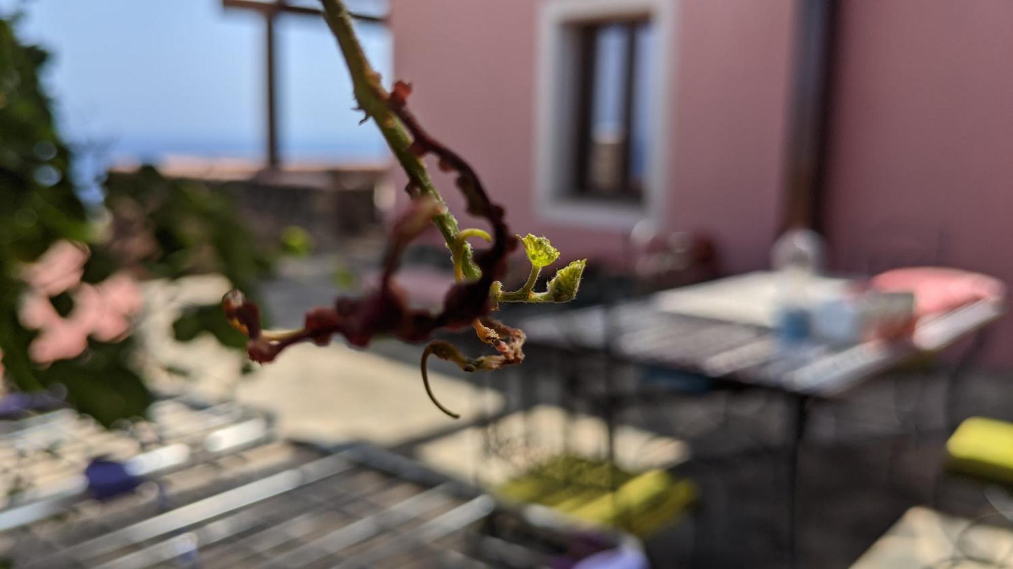 Bed and Breakfast Horizon Pantelleria Campobello Exteriér fotografie